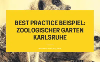 Social Media Marketing Karlsruhe: So geht es richtig: Zoologischer Garten Karlsruhe