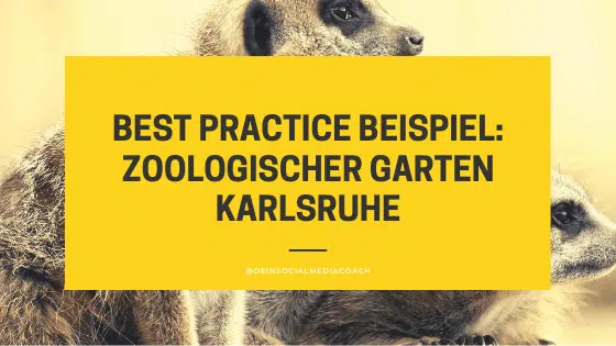 Best Practice Social Media Marketing: Zoologischer Garten Karlsruhe